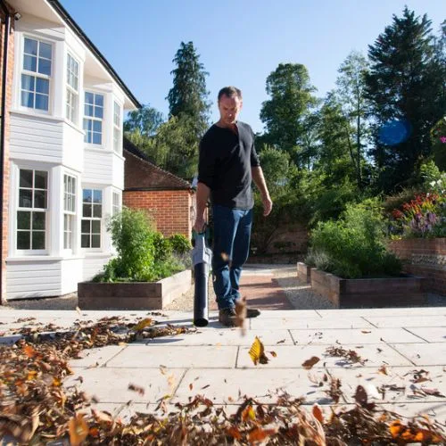 מפוח עלים 274 קמ״ש 1045 מ״ק/שעה 56V Brushless - +סוללה 6.0Ah + מטען מהיר EGO